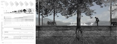 6 succession farming