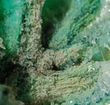 Algae crystals