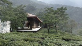 Tea cliff villa holiday home bulathsinhala sri lanka 06