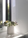 Builtform construction steelhouse1 2 plant succulent modern
