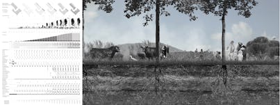 5 bioremiation landscape