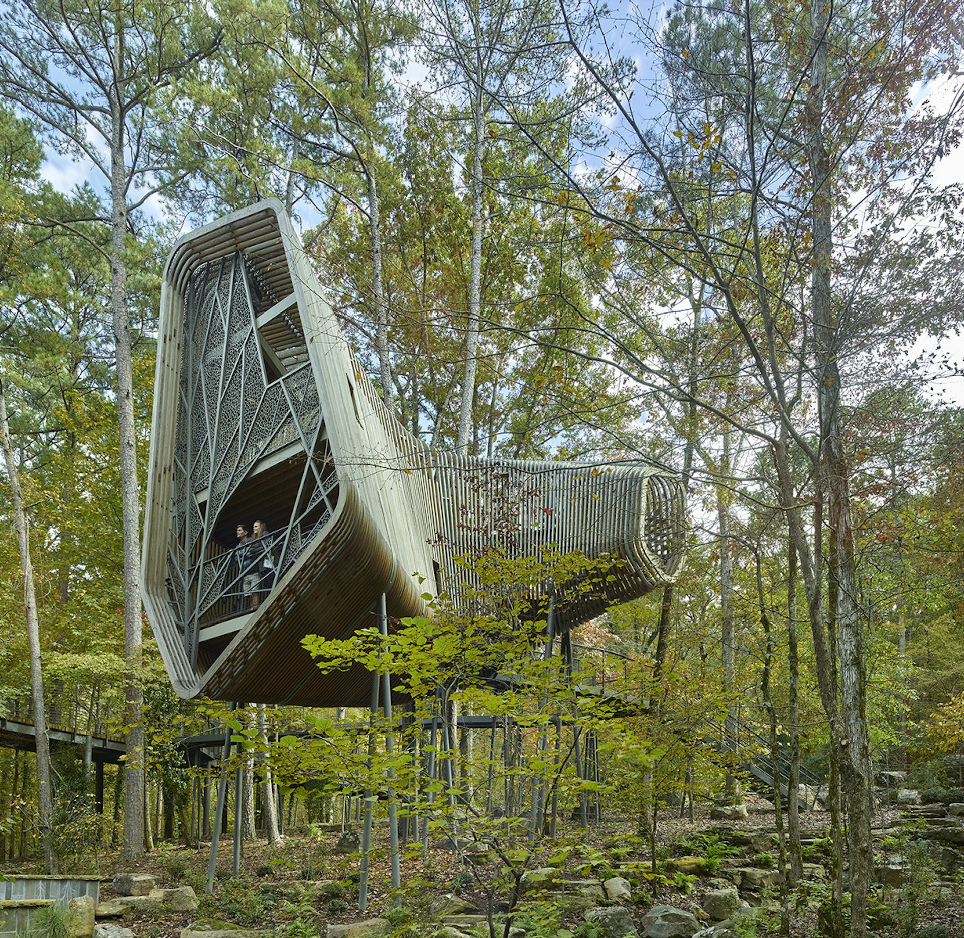 Garvan Gardens Treehouse Photos: Captivating Nature Views