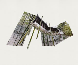 Feifeifeng collage 1 symbolic bamboos