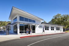Oliveelem 069