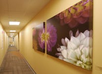 Hy9 projinteriors8 hill img3