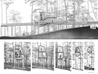 Modus studio garvan tree house sections