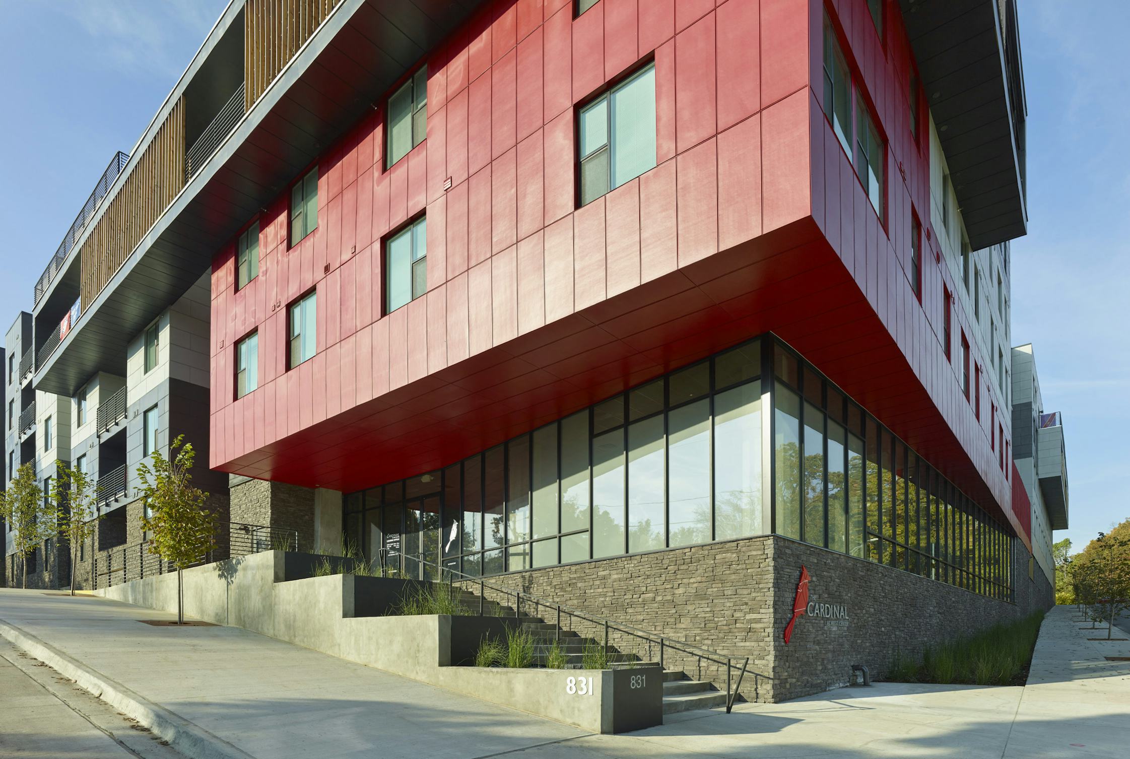 The Cardinal — Modus Studio