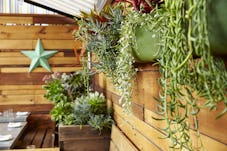 Satrbelly builtform construction san francisco modern salvaged wood wall and dining room