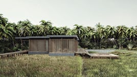 Coconut house 04 s