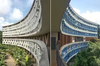 Norden maddock affonsoreidy comparison 1