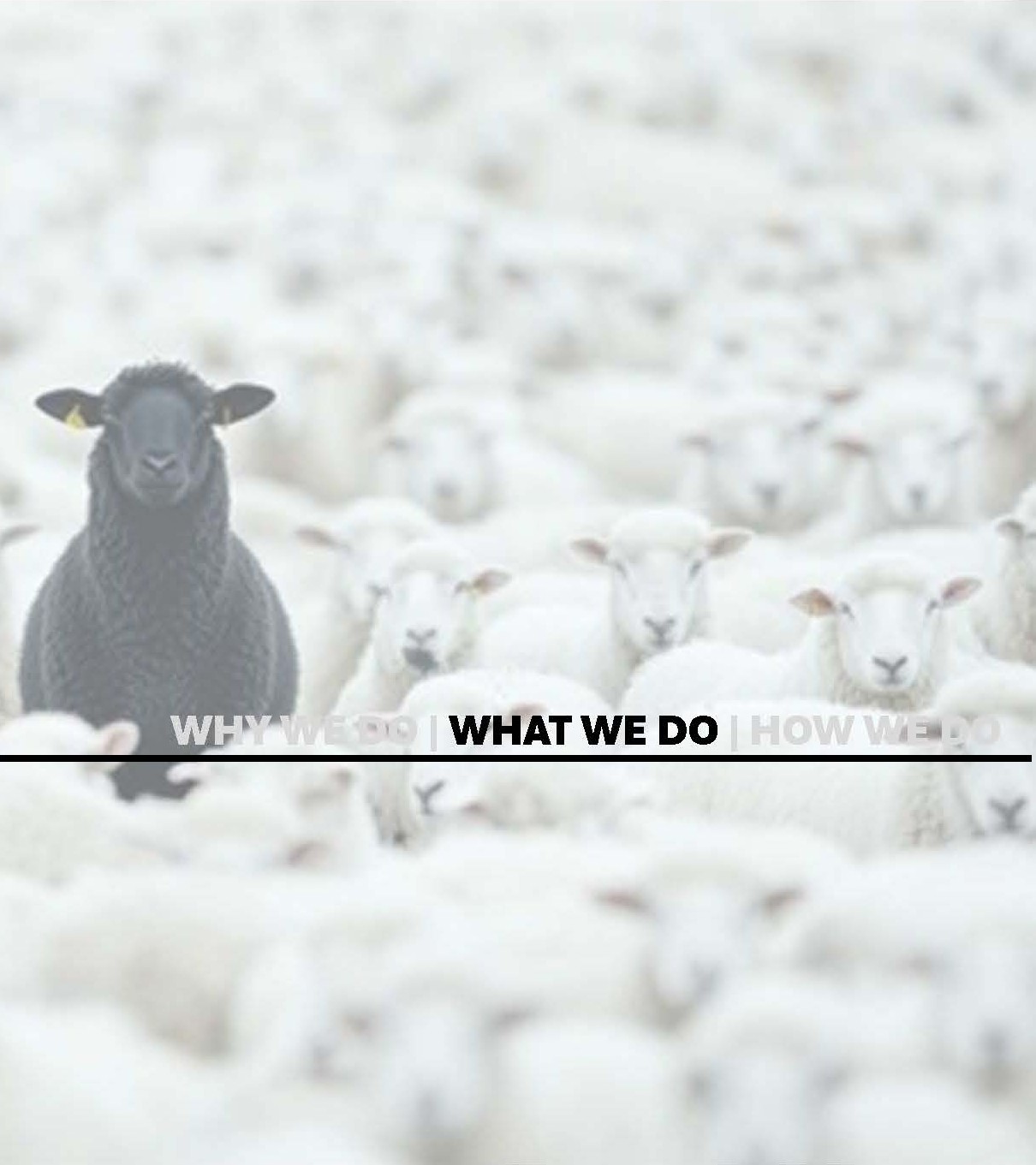 North45 architecture what we do image