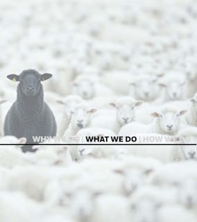 North45 architecture what we do image