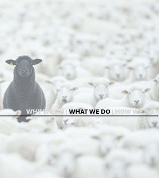 North45 architecture what we do image