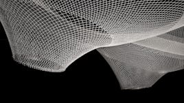 Rvtr infundibuliforms 03