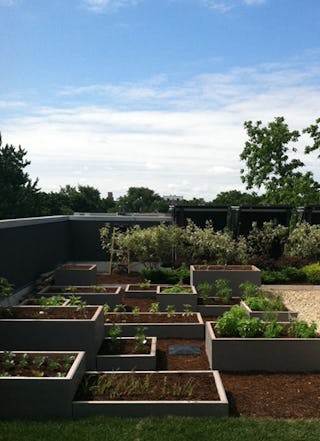 Level incorporated roof vegetable garden