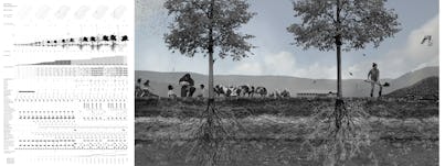 7 blackwalnut forest farm