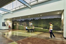Tvhs 614