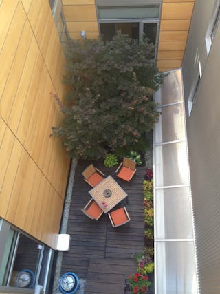 Level incorporated apiary courtyard