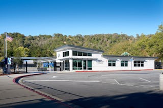 Oliveelem 334