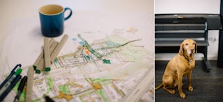 York architects urban designers