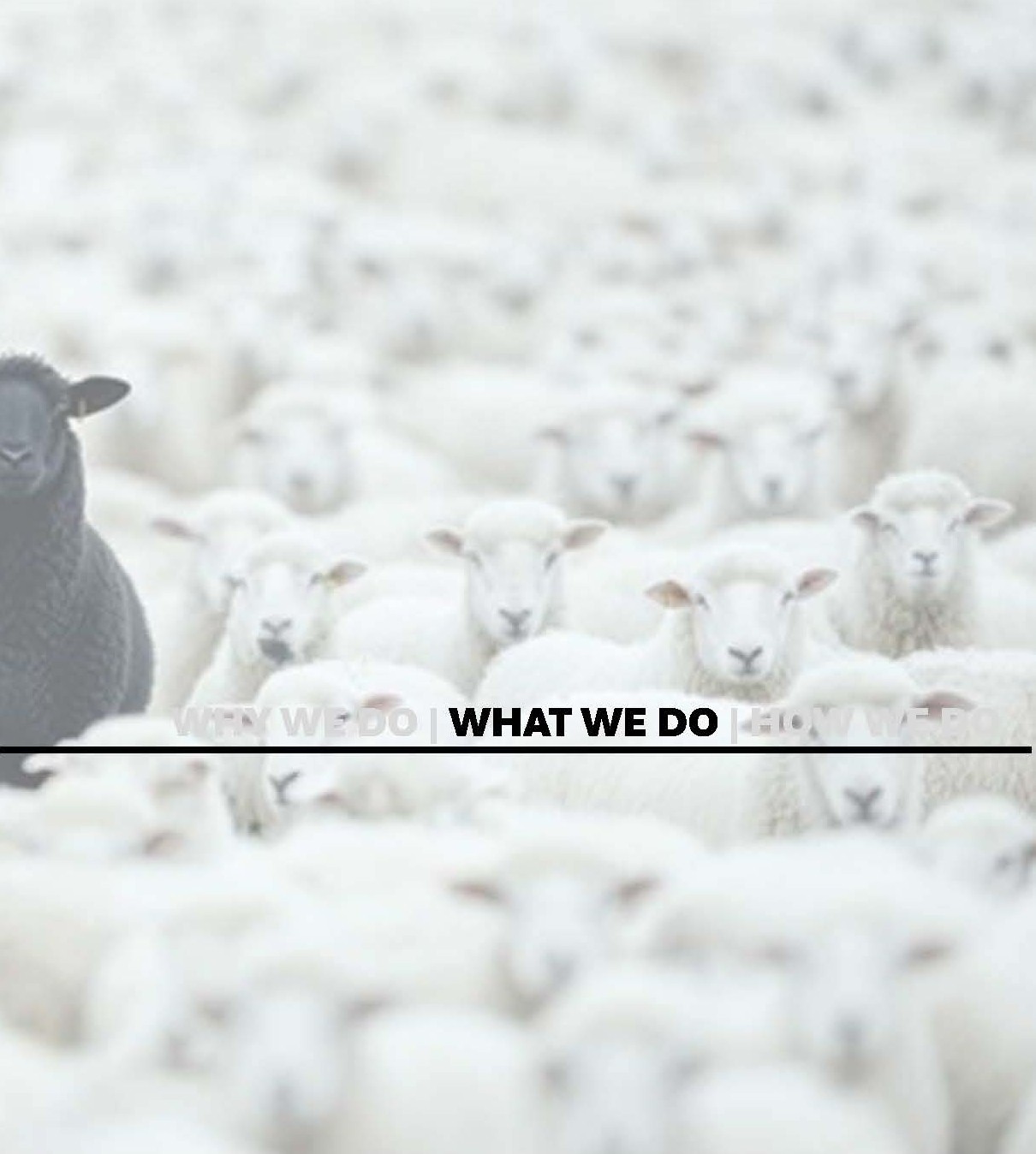 North45 architecture what we do image