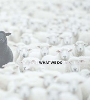 North45 architecture what we do image