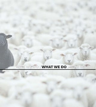 North45 architecture what we do image