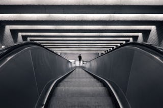 Zebra escalator verne ho