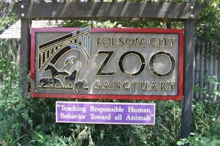Folsom zoo 1
