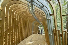 18 modus studio garvan tree house 0173