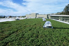 Korematsu middle school gym green roof installation in progress