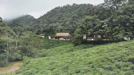 Tea cliff villa holiday home bulathsinhala sri lanka 01