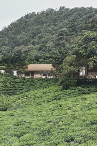 Tea cliff villa holiday home bulathsinhala sri lanka 01